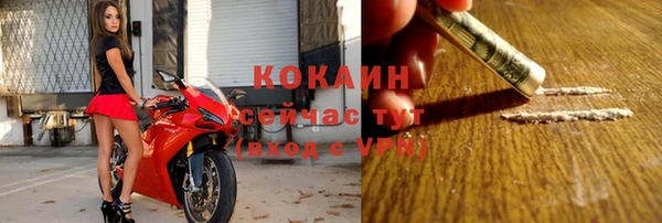 spice Верея